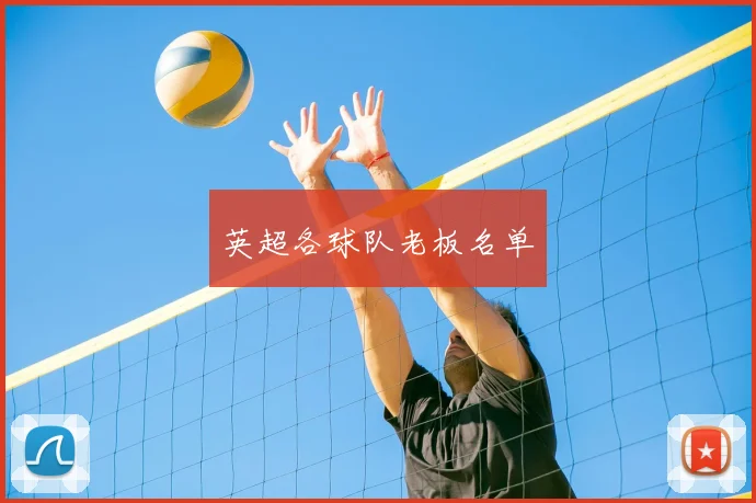 英超各球队老板名单