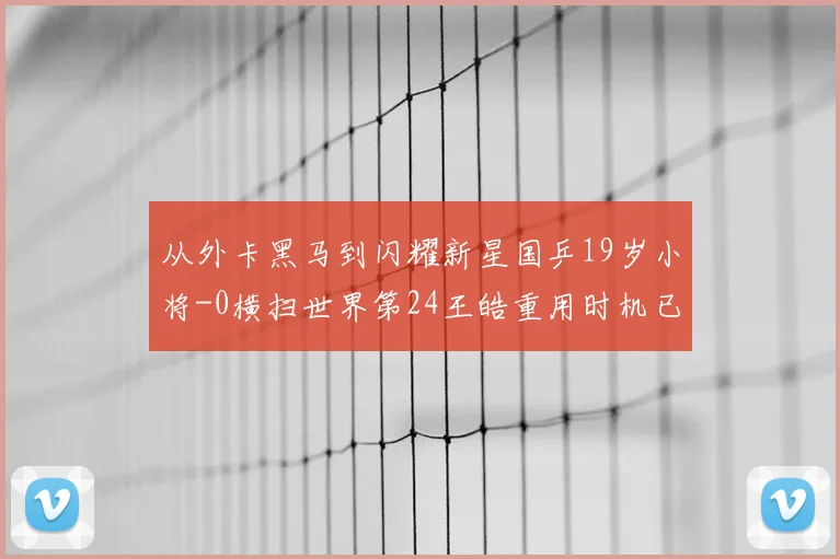 从外卡黑马到闪耀新星国乒19岁小将-0横扫世界第24王皓重用时机已到