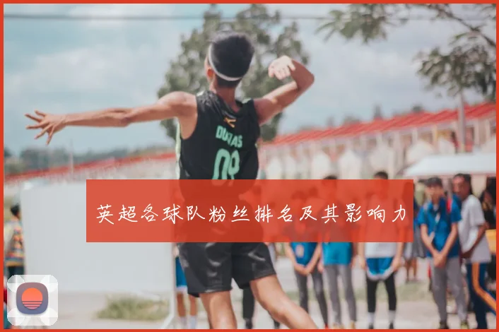 英超各球队粉丝排名及其影响力